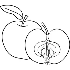 Apple coloring Picture for Preschooler pages