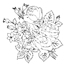 Beautiful roses coloring page_image