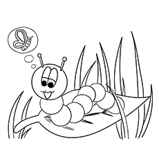 Caterpillar bug coloring page