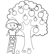 Children picking apples coloring pages