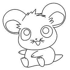 Cute-Hamster-17