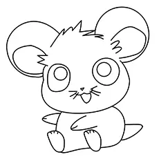 A cute hamster coloring pages
