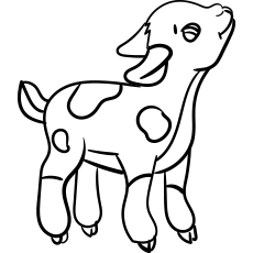 Cute little goat preschool coloring page