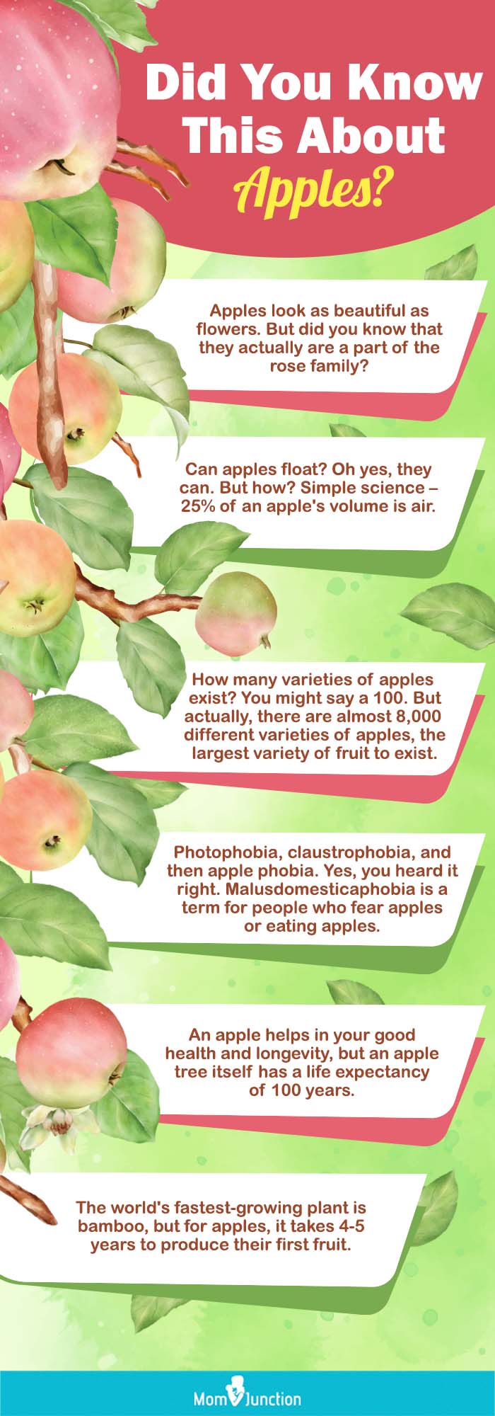 did you know this about apples? (infographic)