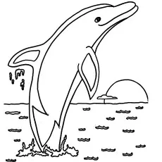 Dolphin max splasher by lisa frank coloring pages