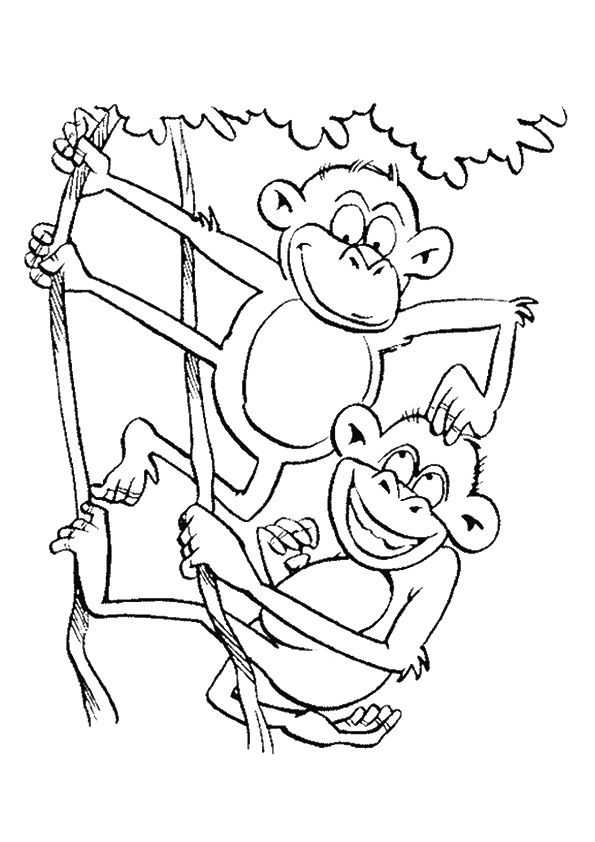 Funny-Monkeys-Branch
