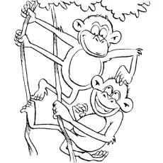 Funny monkeys on the branch coloring page