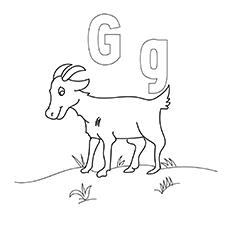 Goat teachers letter G coloring pages