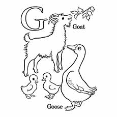 Gooses letter G coloring pages