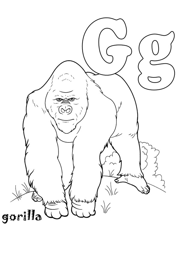 G-Coloring-Pages-gorilla