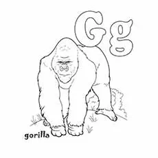 Gorilla letter G coloring pages