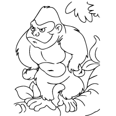 Gorillas in forest coloring page