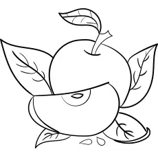 Green apple coloring pages