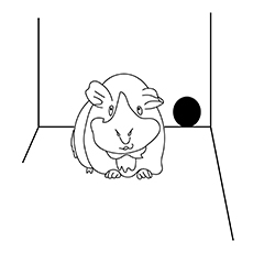Groaning guinea pig coloring page
