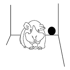 Groaning guinea pig coloring page_image