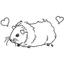 Kawaii Guinea Pig Coloring Pages