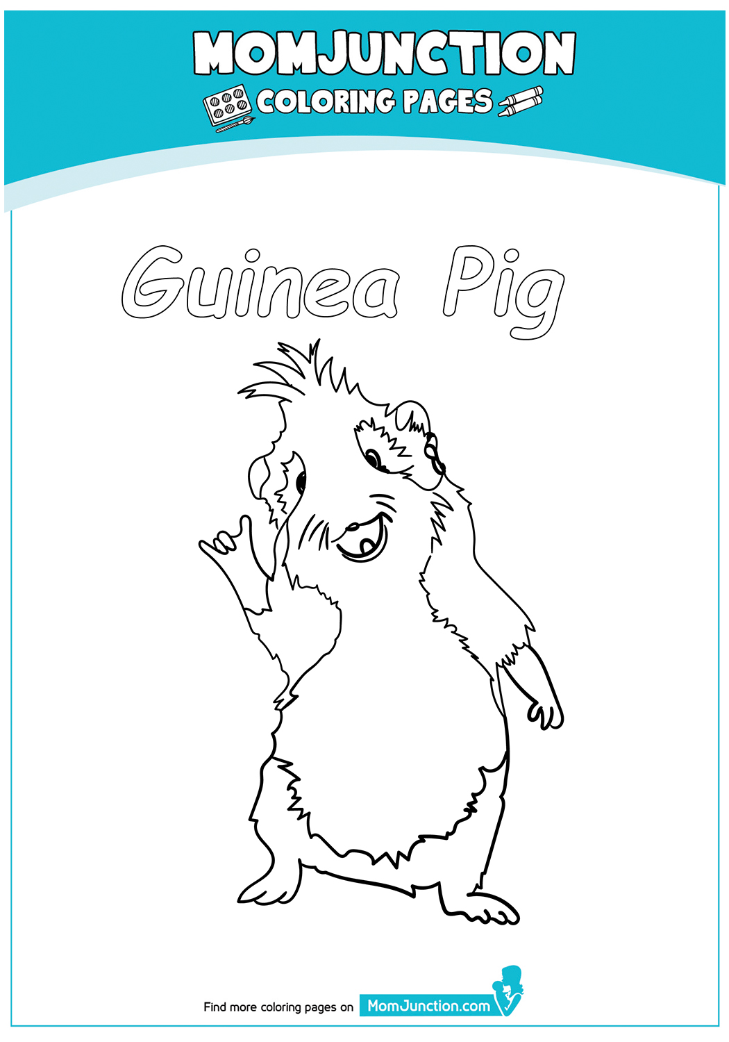 Guinea-Pig-hearing-17