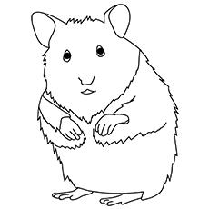 Adorable hamster coloring pages