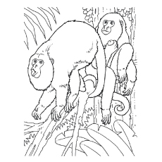 Howler monkeys in forest coloring page