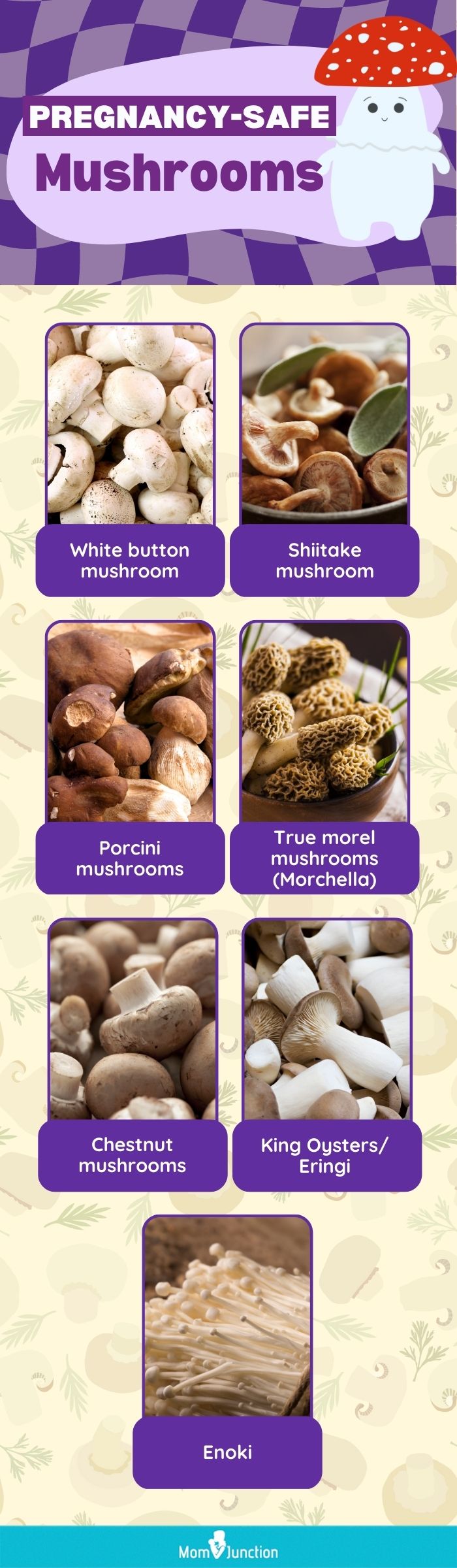 pregnancy safe mushrooms (infographic)