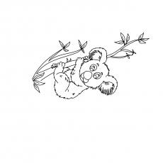 Hanging on tree koala coloring page