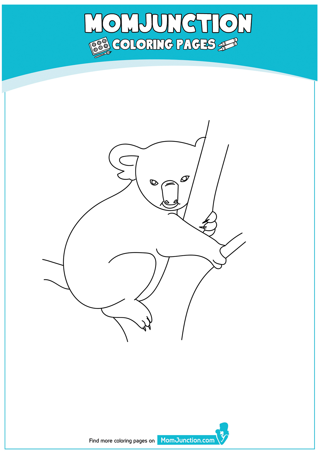 Koala-Sitting-On-Tree-17