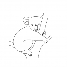 Sitting on tree koala coloring page