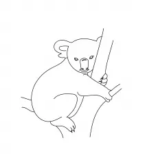 Sitting on tree koala coloring page_image