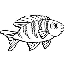 Koi fish large eyes coloring page