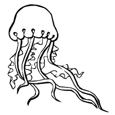 Marine Jellyfish coloring page