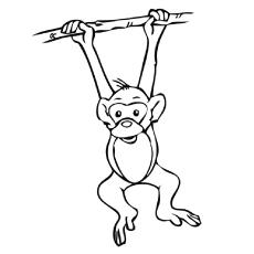 monkey coloring pages for kids