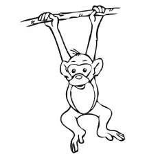 Monkey hanging on tree coloring page