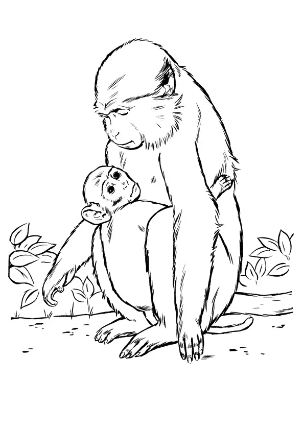 Monkey-Her-Baby