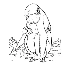 Mother and baby monkey coloring page