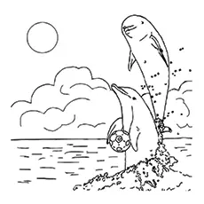 Ocean Dolphin coloring page_image