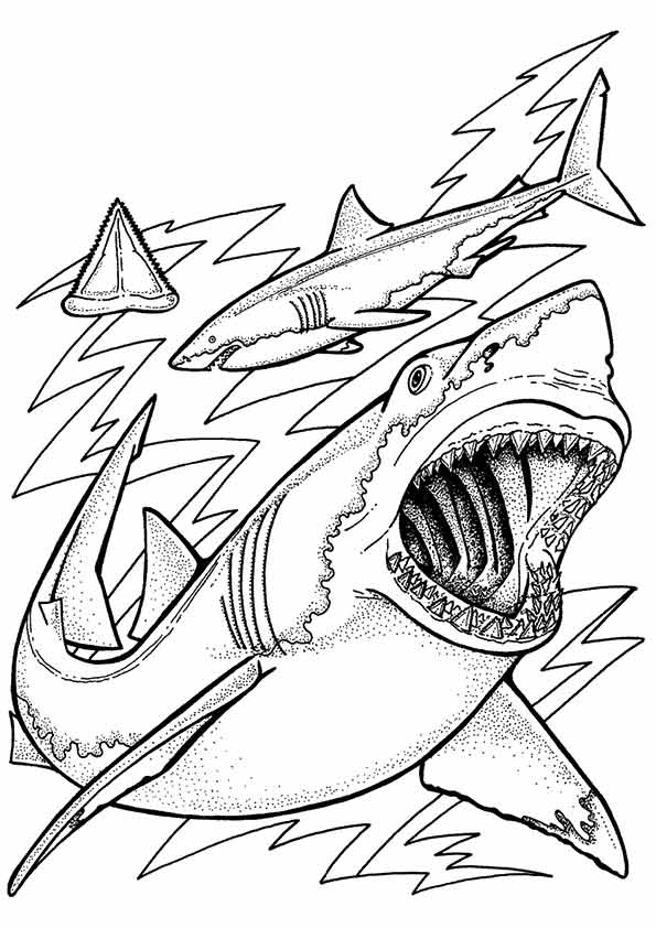 Ocean-Fish-Coloring-Pages
