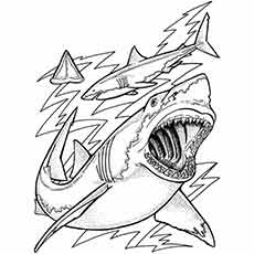 Ocean sharks coloring page