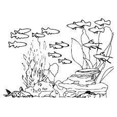 Life in ocean coloring page