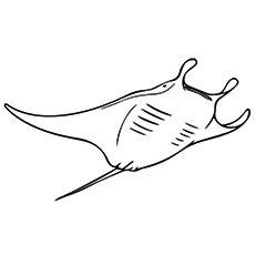 Ocean Stingray coloring page
