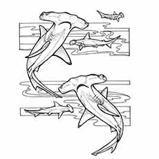 Hammerhead shark ocean coloring page