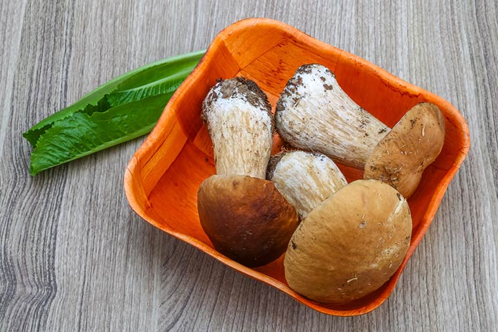 Can I eat porcini mushrooms while pregnant