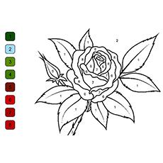 rose mandala coloring pages