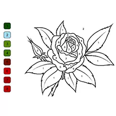 Rose coloring page with numbers