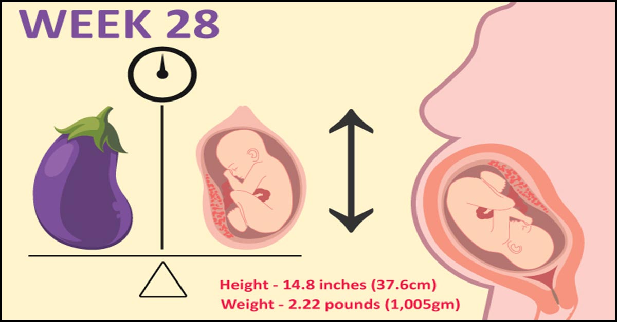 28 недель беременности что происходит с мамой