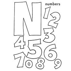 The-‘N’-Is-For-Numbers_image