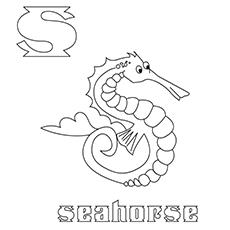 Top 10 Free Printable Seahorse Coloring Pages Online