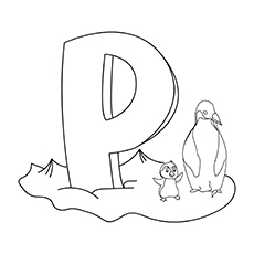 The-‘p’-is-for-penguin-16