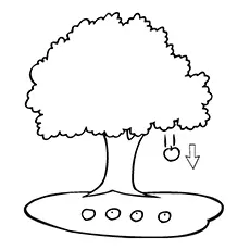 An apple falling from the tree coloring pages