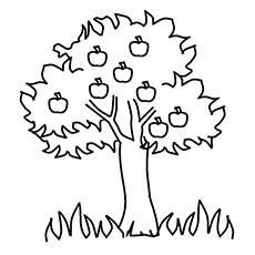 simple apple tree drawing