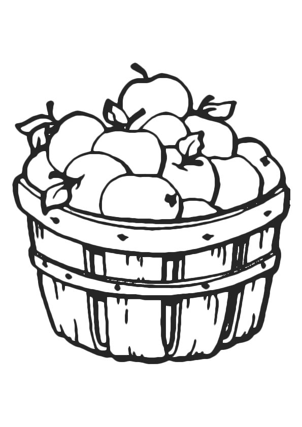 The-Basket-Of-Apples-16